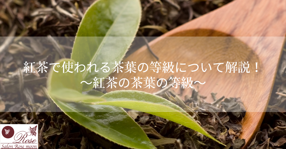 紅茶の茶葉の等級（グレード）について解説 2「紅茶の茶葉の等級」／紅茶コラム[Tea’s column]