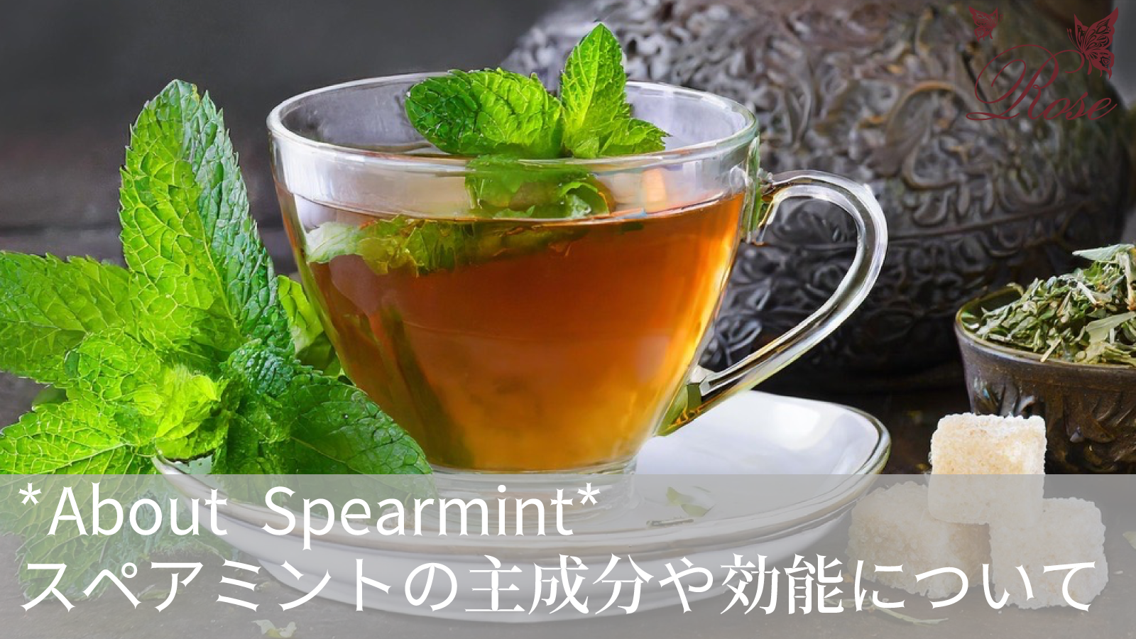スペアミントのハーブティーの主成分や効能について解説