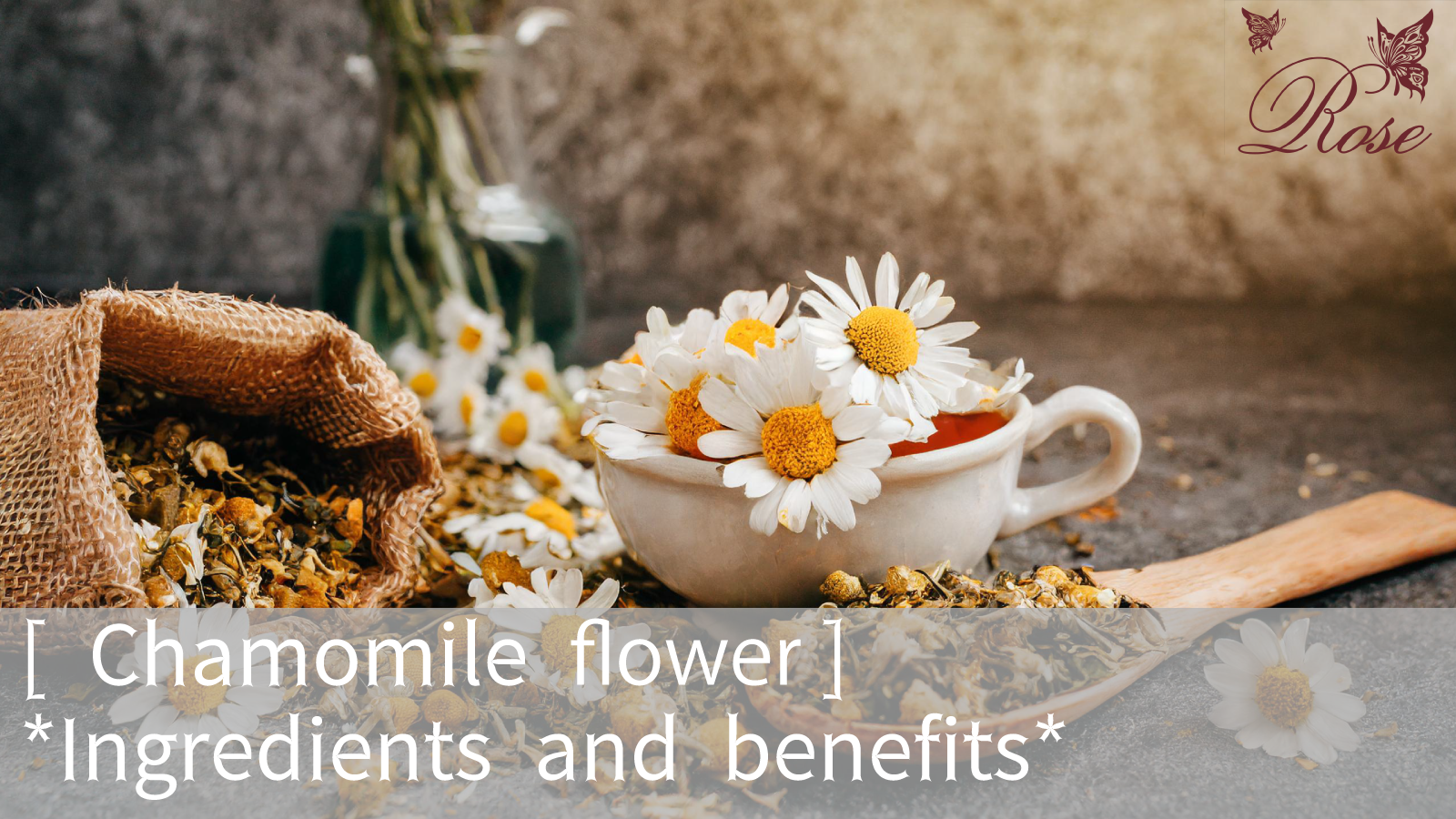 Chamomile flower ‘s Ingredients and benefits【 Tea’s index 】