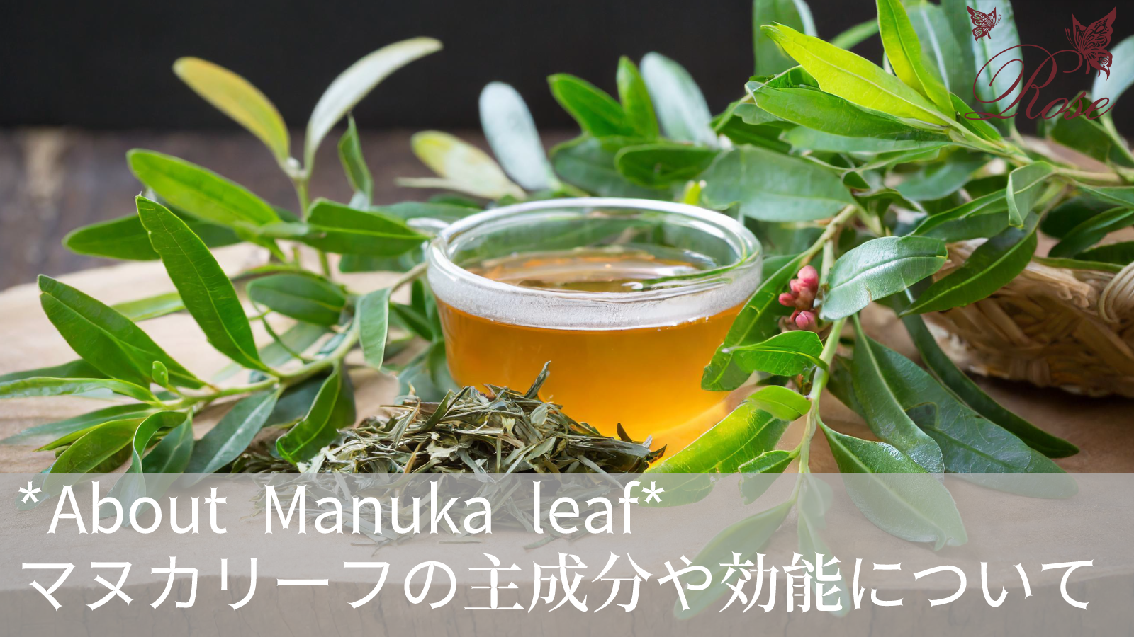 マヌカリーフのハーブティーの主成分や効能について解説