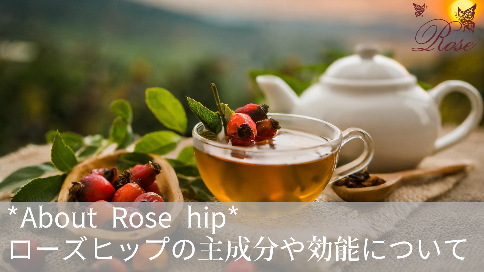 ローズヒップのハーブティーの主成分や効能について解説