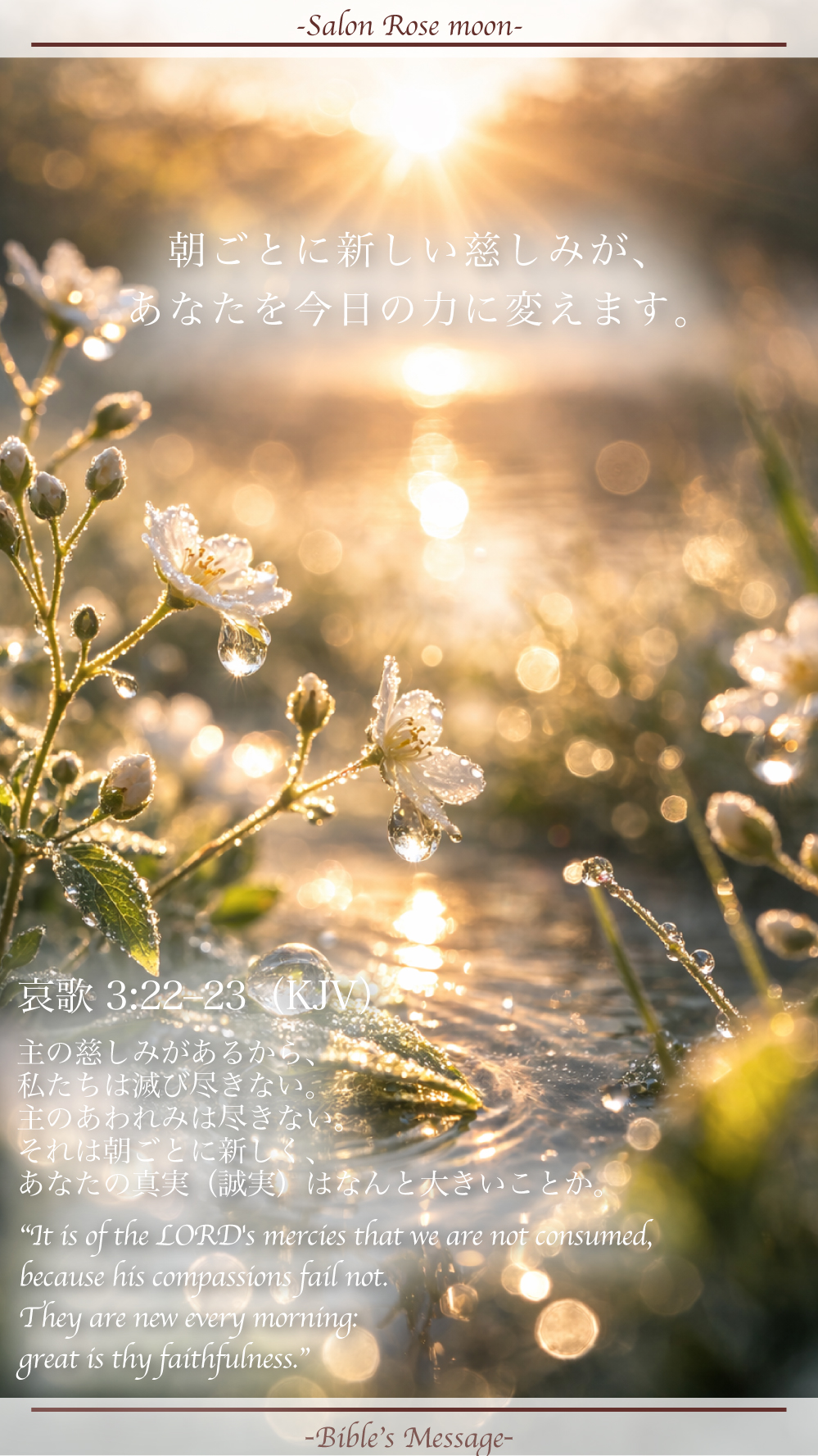 慈しみで整える聖書の言葉｜哀歌3:22-23