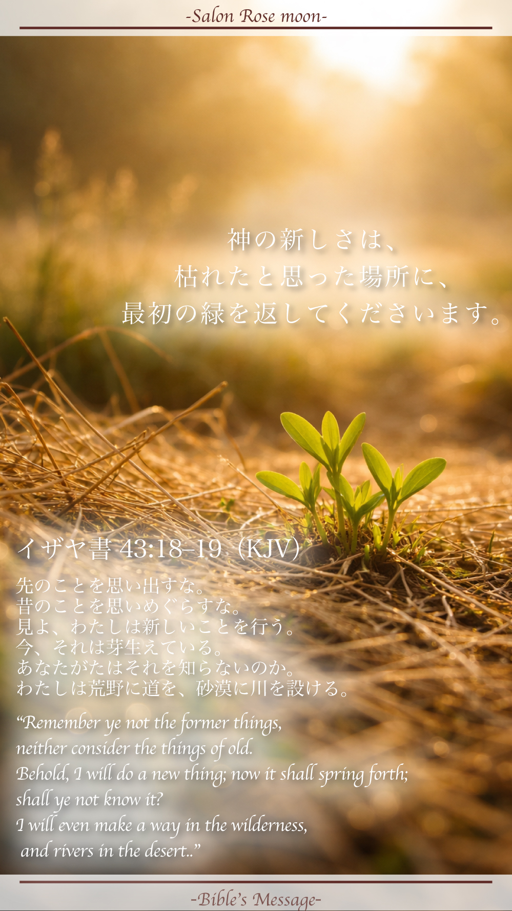 新しいことを始める聖書の言葉｜イザヤ43:18–19