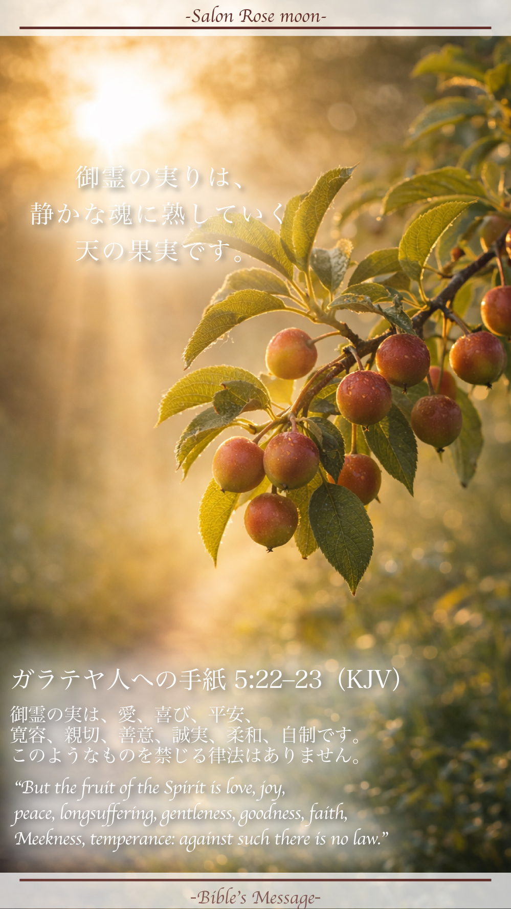 御霊の実りで整える聖書の言葉｜ガラテヤ5:22–23