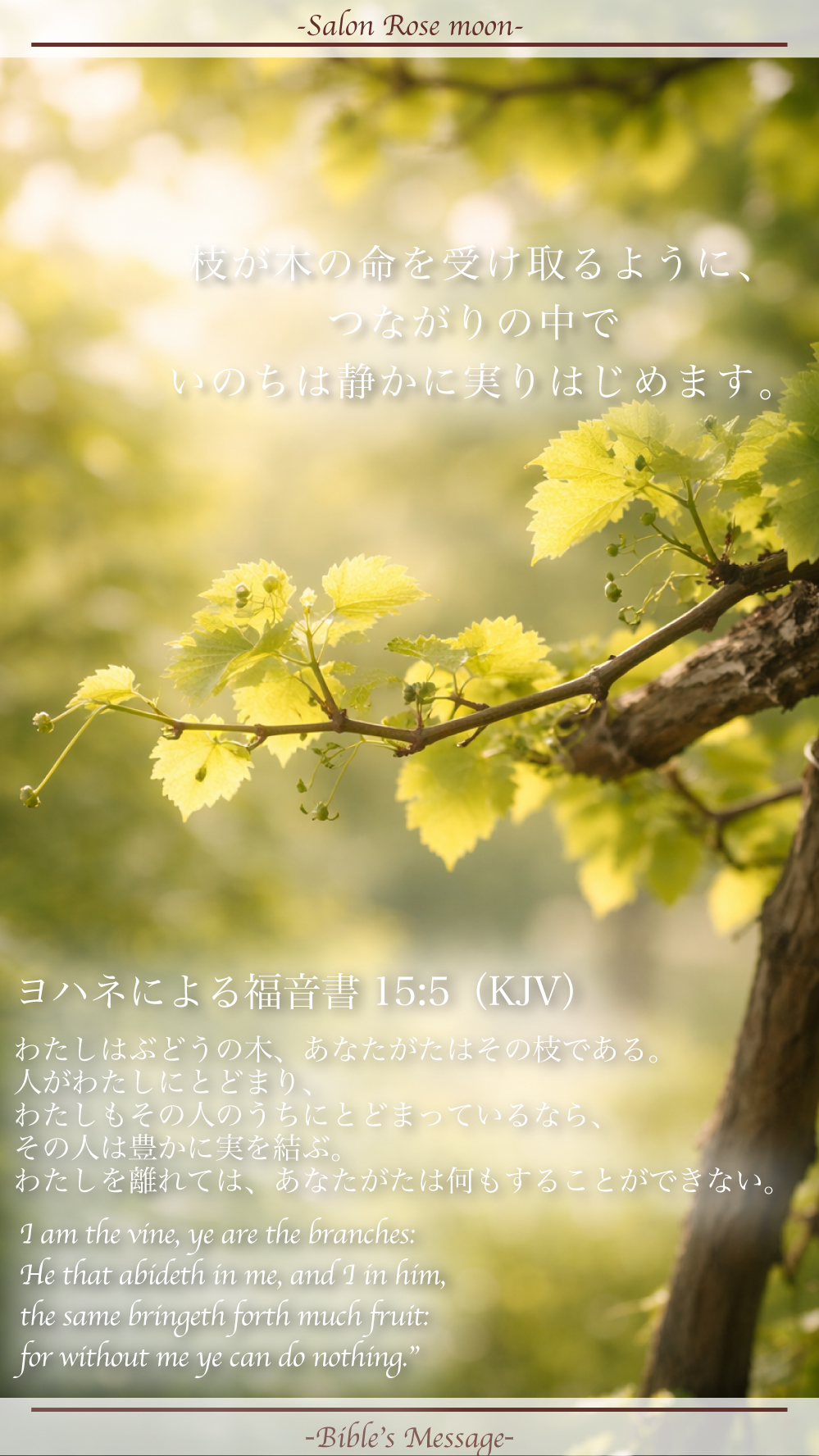 つながりの中で実る聖書の言葉｜ヨハネ15:5
