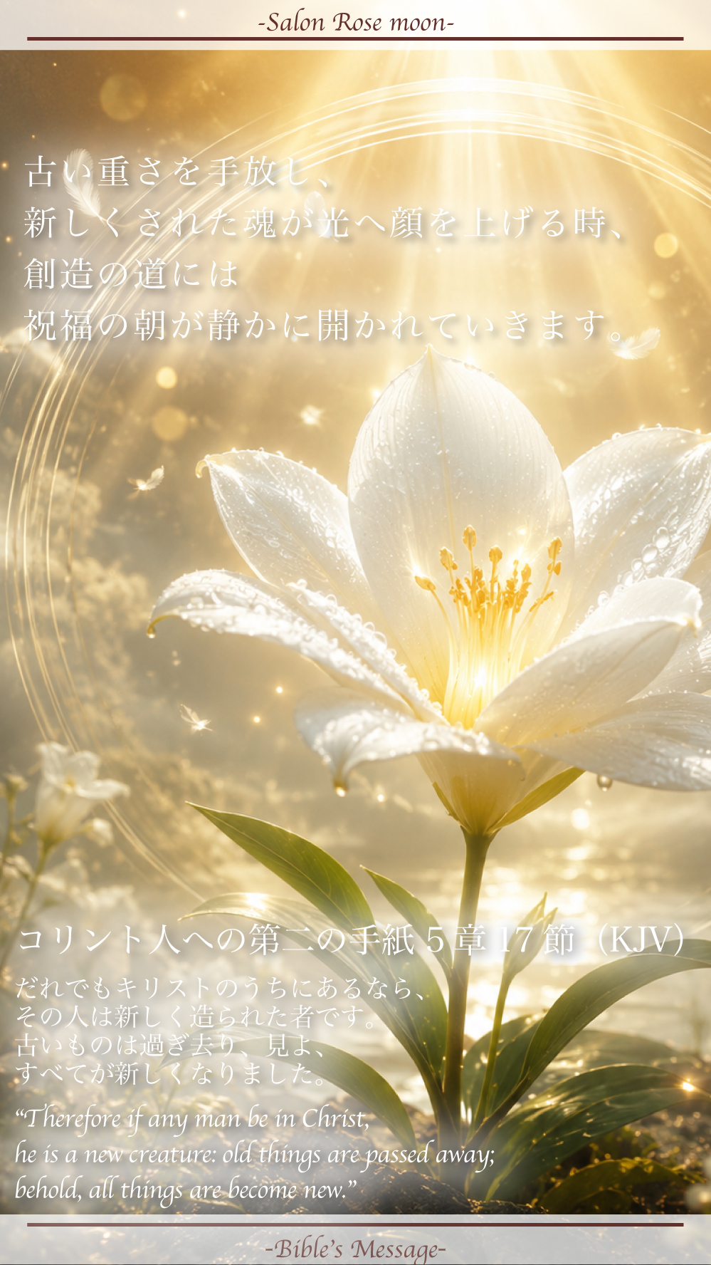 新しくされて創る聖書の言葉｜コリント第二5:17