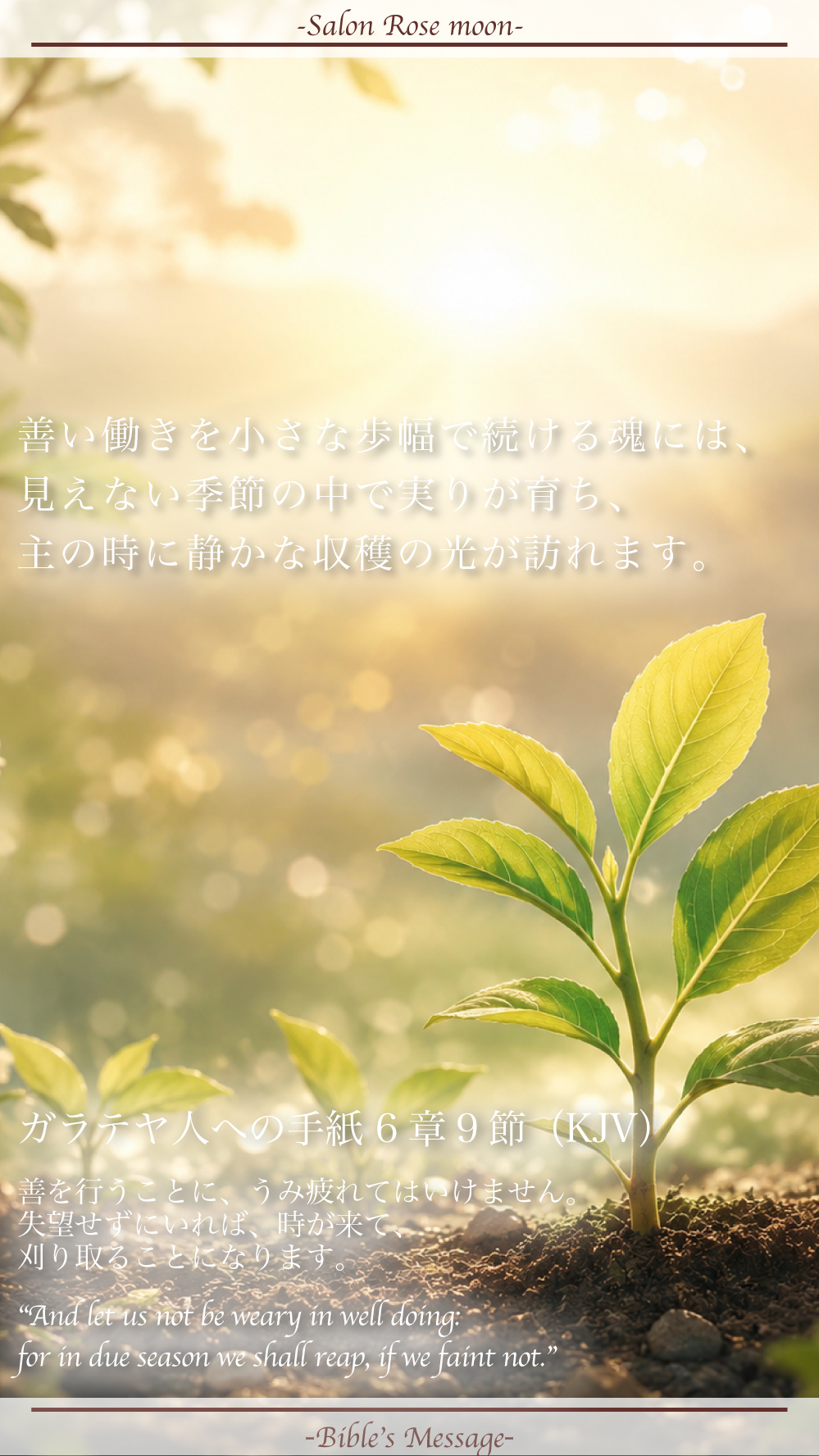 ガラテヤ6章9節の「失望せずにいれば、時が来て刈り取ることになります」という聖書の言葉を象徴する、朝の光の中で静かに芽吹く若葉